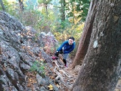 岩場のある森の登山道を登る人物